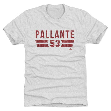 Andre Pallante Men's Premium T-Shirt | 500 LEVEL