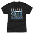 Beaver Creek Men's Premium T-Shirt | 500 LEVEL