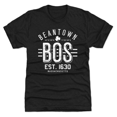 Boston Men's Premium T-Shirt | 500 LEVEL