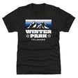 Winter Park Men's Premium T-Shirt | 500 LEVEL