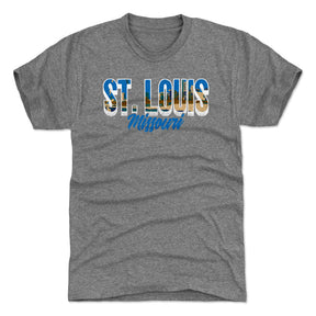 St. Louis Men's Premium T-Shirt | 500 LEVEL