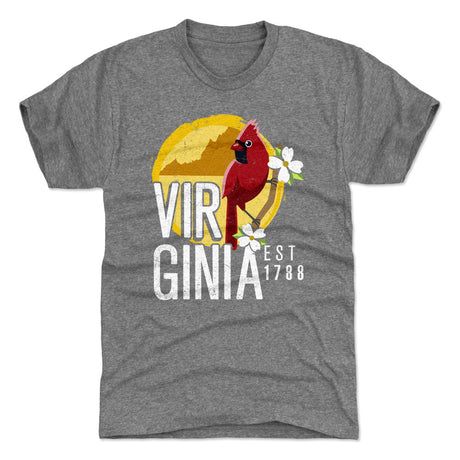 Virginia Men's Premium T-Shirt | 500 LEVEL