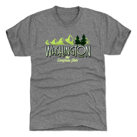 Washington D.C. Men's Premium T-Shirt | 500 LEVEL