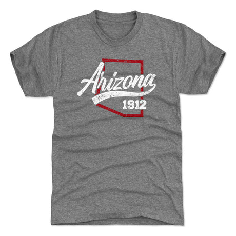 Arizona Men's Premium T-Shirt | 500 LEVEL