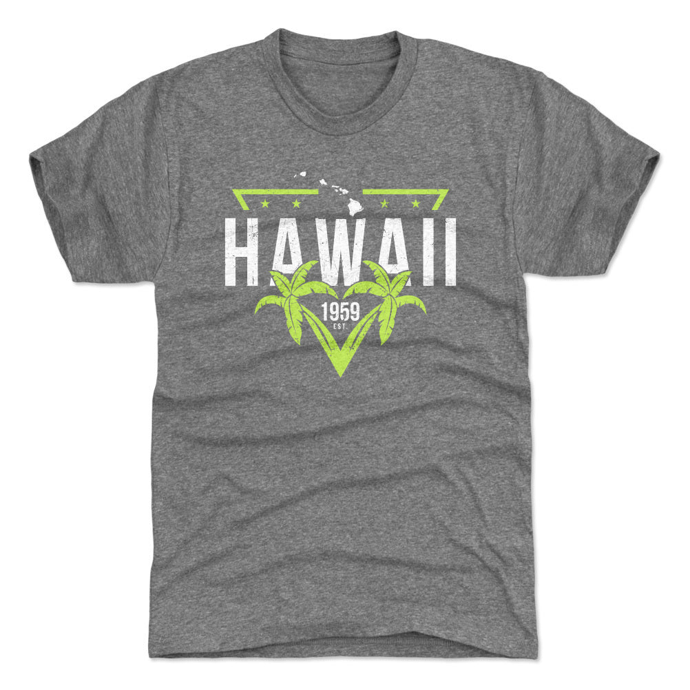 Hawaii Men's Premium T-Shirt | 500 LEVEL
