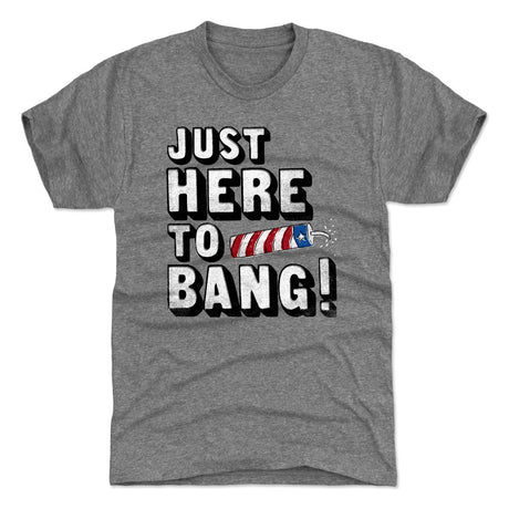 USA Men's Premium T-Shirt | 500 LEVEL