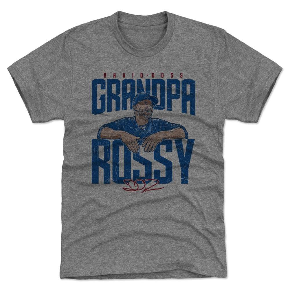 David Ross Men's Premium T-Shirt | 500 LEVEL
