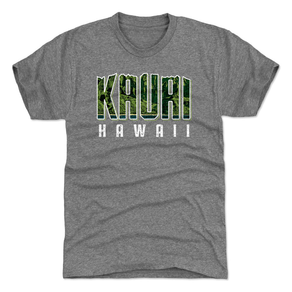 Kauai Men&#39;s Premium T-Shirt | 500 LEVEL