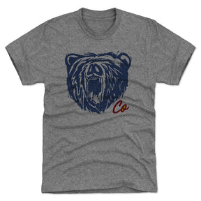 Colorado Men's Premium T-Shirt | 500 LEVEL