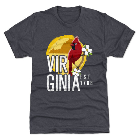 Virginia Men's Premium T-Shirt | 500 LEVEL