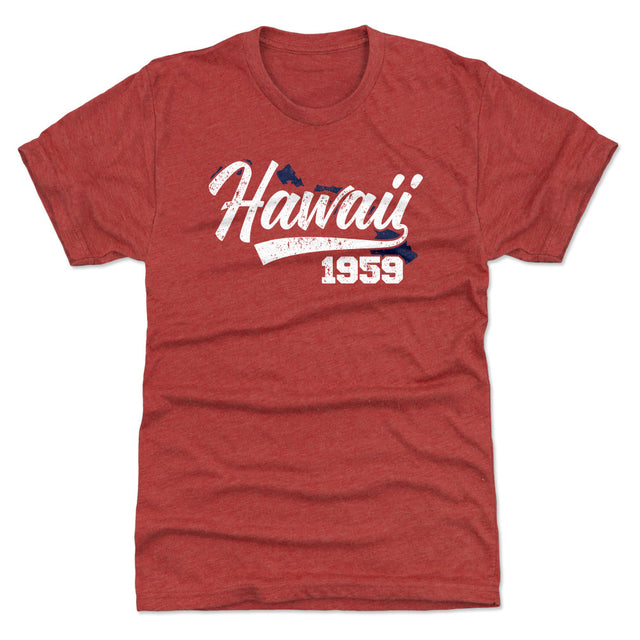 Hawaii Men's Premium T-Shirt | 500 LEVEL