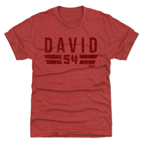 Lavonte David Men's Premium T-Shirt | 500 LEVEL